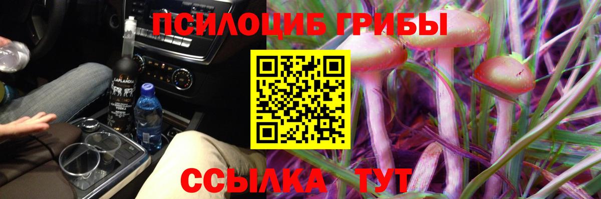 Скопин  Галлюциногенные грибы Magic Shrooms  Вход с VPN  Псилоцибиновые грибы Psilocybine cubensis 